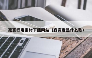 诸暨寂寞行走素材下载网站（寂寞走是什么歌）